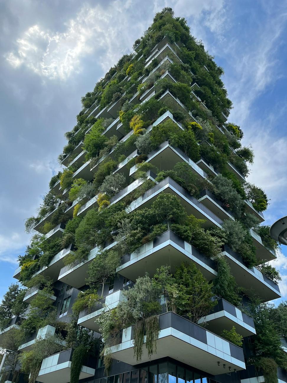 Forest Hill Eco Home